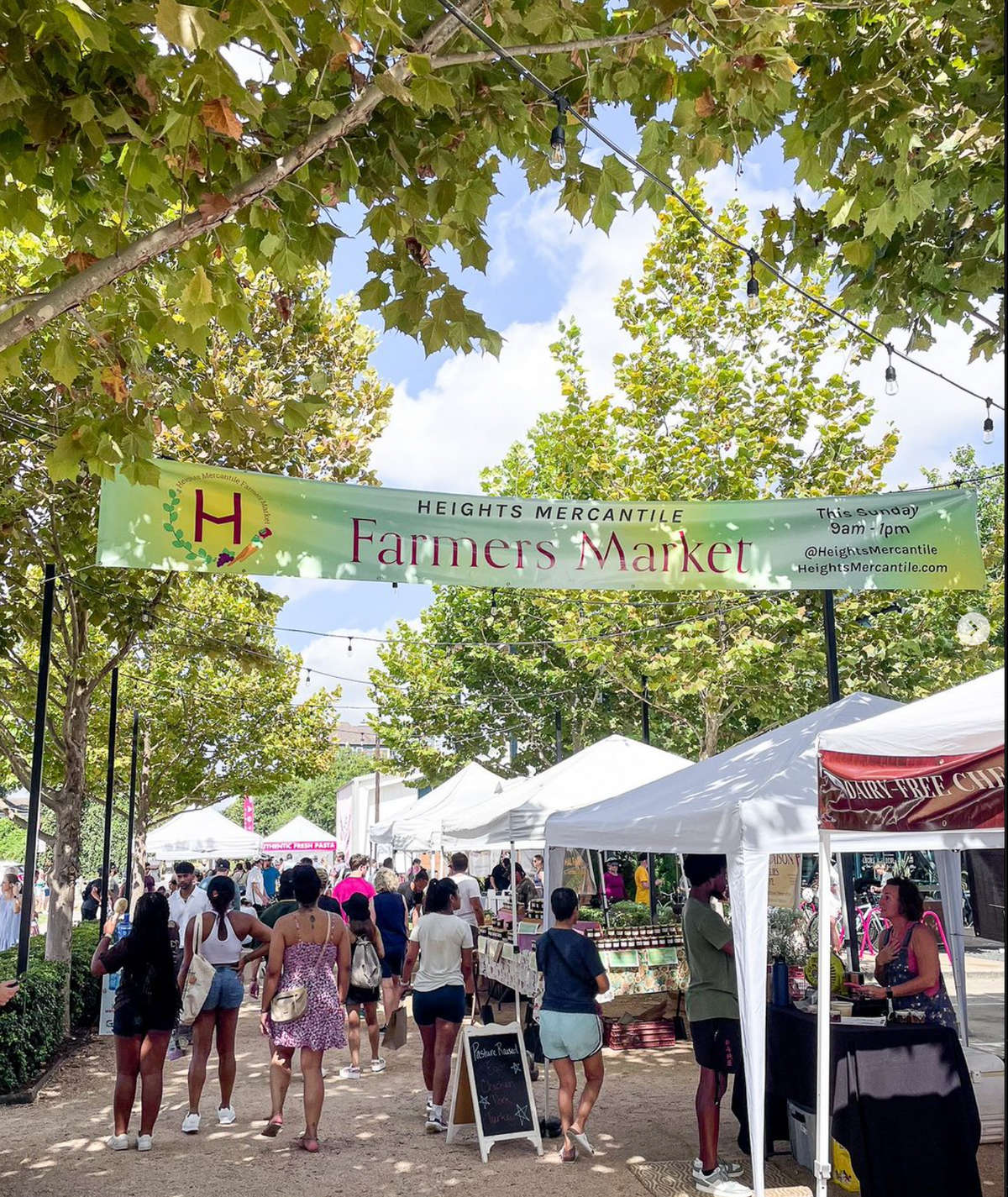 People walking at a park Farmers Market.